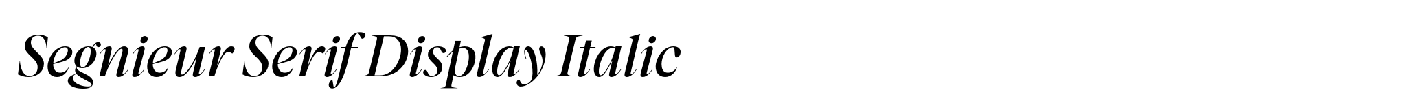 Segnieur Serif Display Italic image